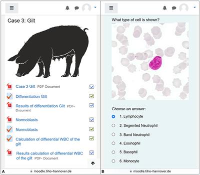 Teaching clinical hematology and leukocyte differentiation in veterinary medicine using virtual patients